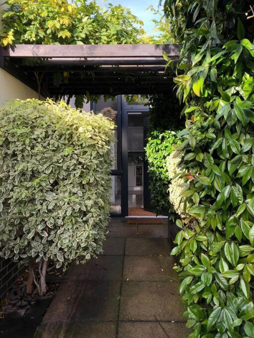 Private Garden Oasis In Central Μπρίστολ Εξωτερικό φωτογραφία